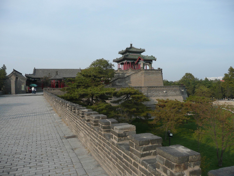 P1010262_neo_bak.jpg