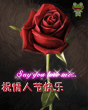 情人节.gif