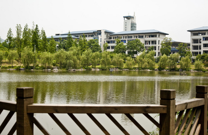 _MG_487159.jpg