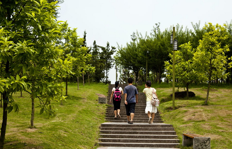 _MG_487664.jpg