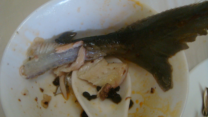 DSC01030.JPG