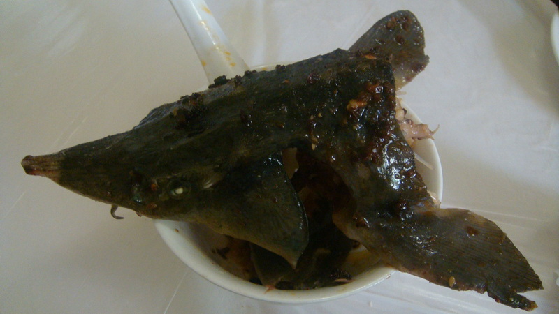 DSC01033.JPG