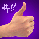 牛.gif