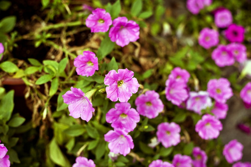 _MG_6009副本.jpg