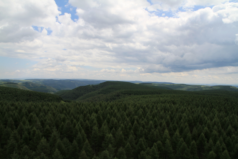 IMG_6746.jpg