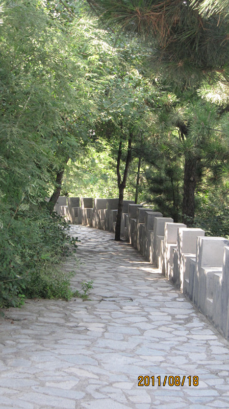 IMG_9527_副本.jpg