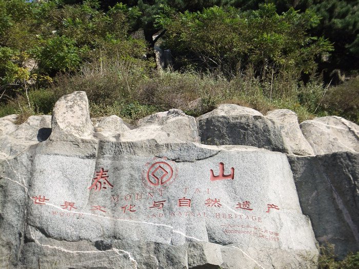 DSCF0137.jpg