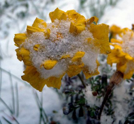 我的家乡下雪了，冬天又来了！