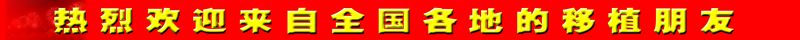 十周岁生日副本.jpg