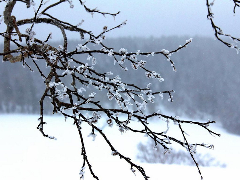 170322vgn5bygbykogyonv.jpg