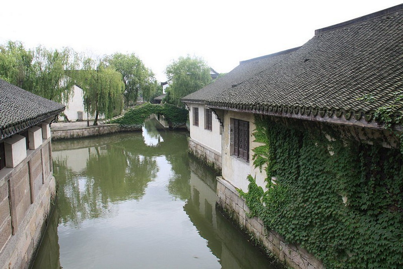 照片 1529.jpg