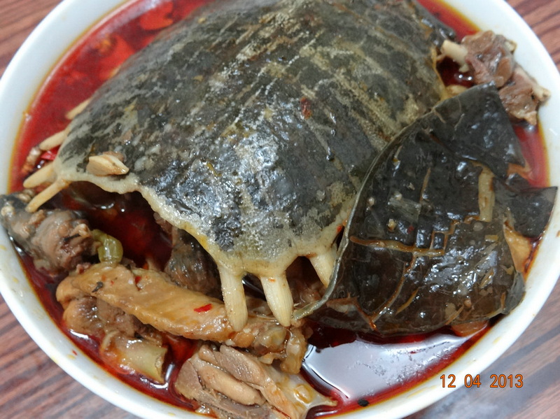 霸王鳖鸡