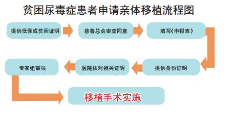 亲体肾移植有严格程序.jpg