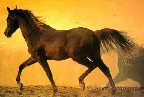 1265365553euHekrM6.jpg