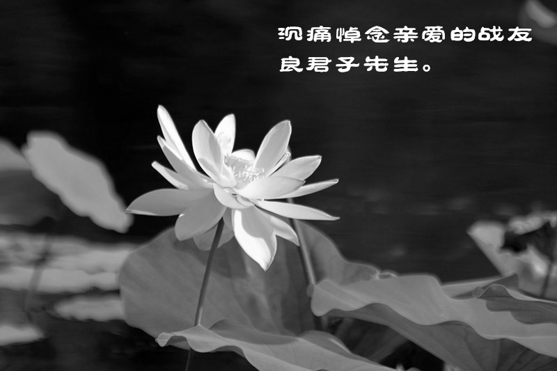 IMG_4403_副本_副本.jpg