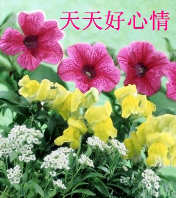 b_47BFEE7D6CD8E978A3027911D584DDE7.jpg