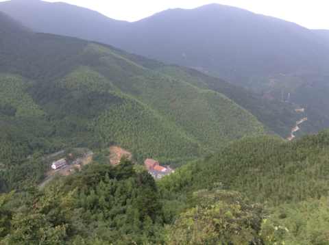 mmexport1407903472599.jpg