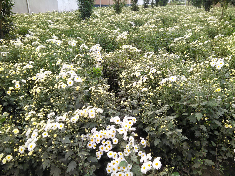 IMG20141028144820.jpg