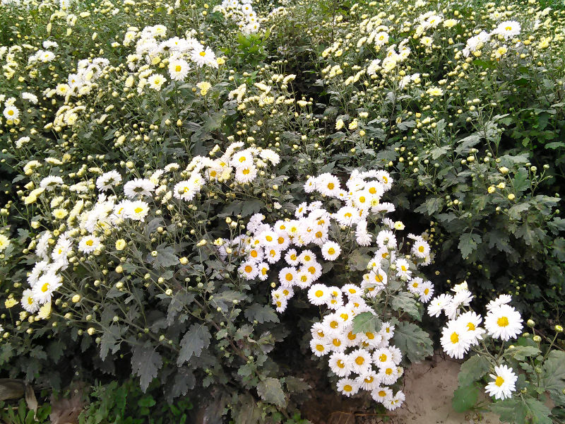 IMG20141028144816.jpg