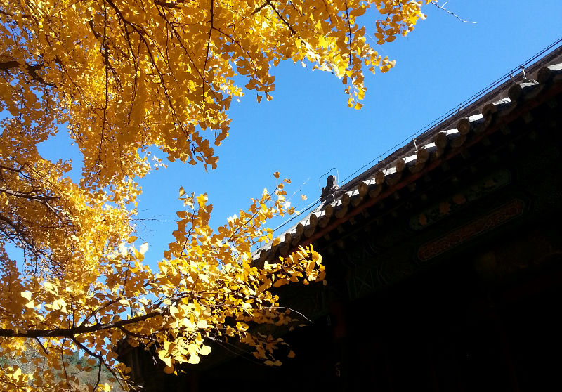 20141102_101944-1.jpg