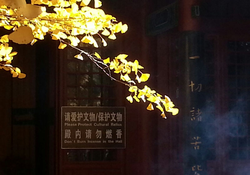 20141102_102641-1.jpg