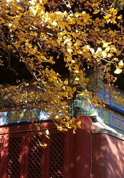 20141102_102116-1.jpg