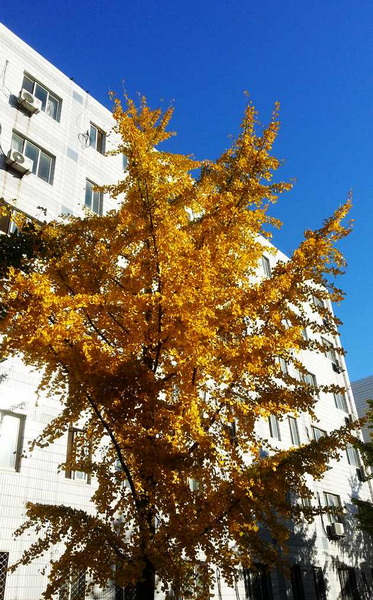 20141105_145500_副本.jpg