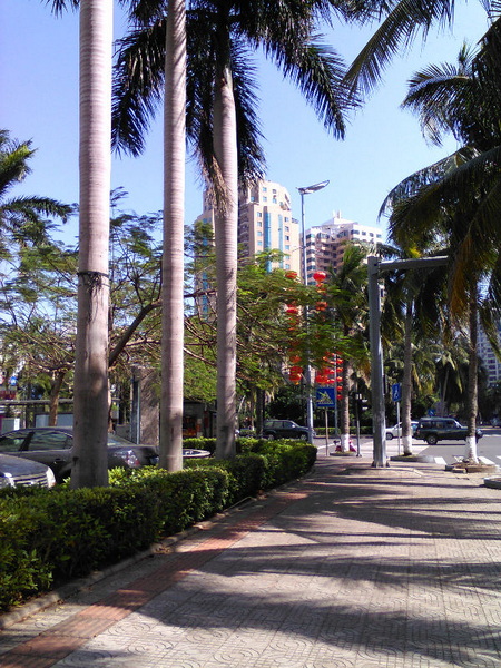 IMG_20160207_115205.jpg
