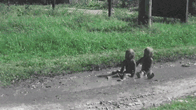 0Gi5HDlElJ.gif
