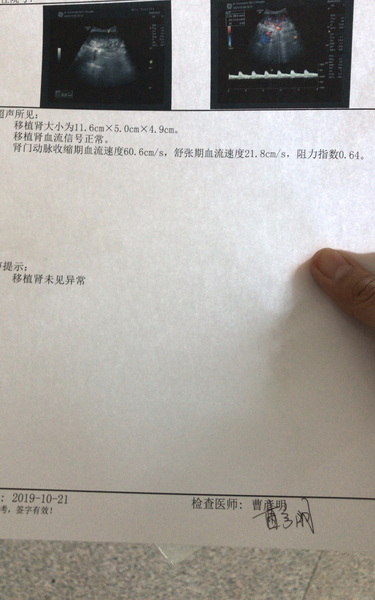 移植肾彩超