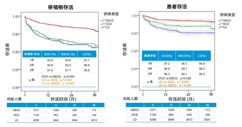 2  LD组3年移植物 患者存活率显著高于DD组.jpg