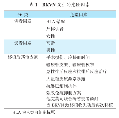 表1 bkvn发生的危险因素.png