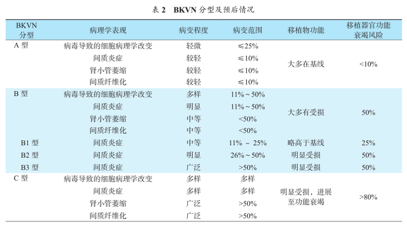 表2 bkvn分型及预后情况.png