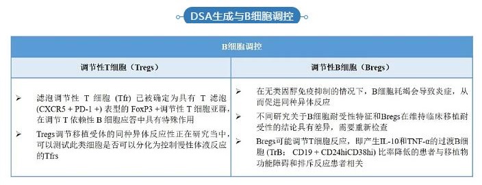 5 DSA生成与B细胞调控.jpg