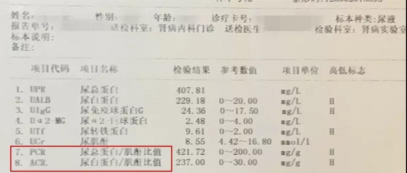 4 化验单实例2.jpg