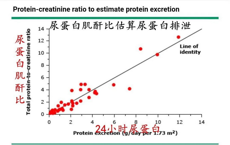 2 尿蛋白肌酐比估算尿蛋白排泄.jpg