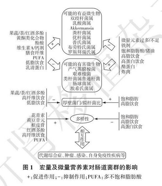 图1　宏量及微量营养素对肠道菌群的影响.jpg