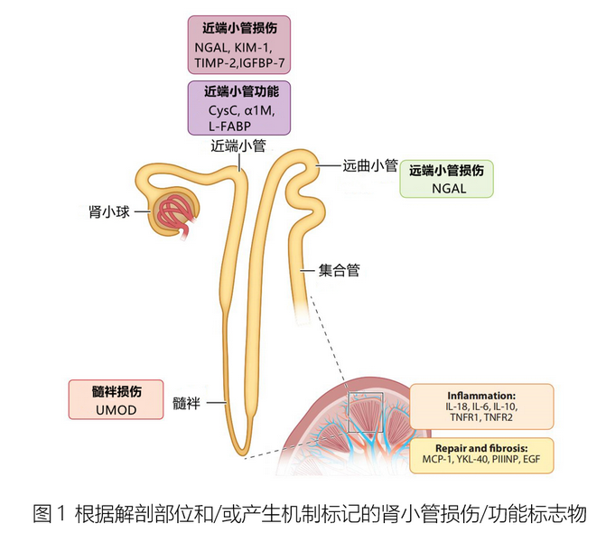 图1.png