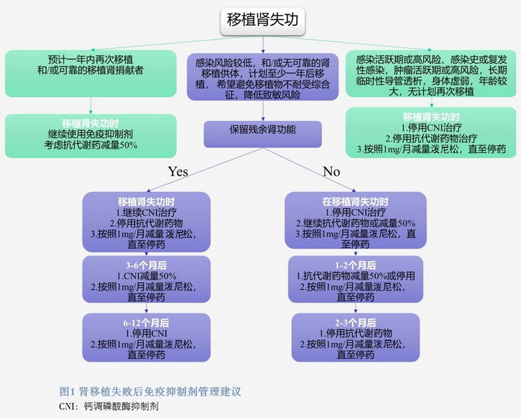 图1 肾移植失败后免疫抑制剂管理建议.jpg