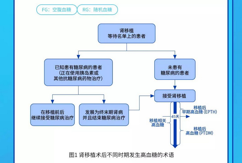 图1 肾移植术后不同时期发生高血糖的术语.jpg