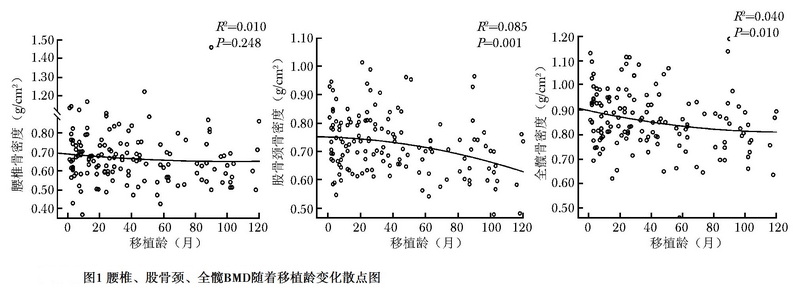 图1 腰椎、股骨颈、全髋BMD随着移植龄变化散点图.jpg