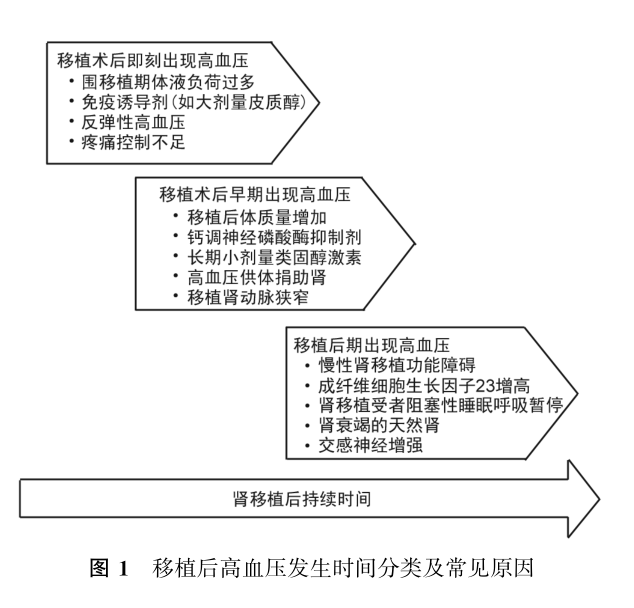 图1 移植后高血压发生时间分类及常见原因.png