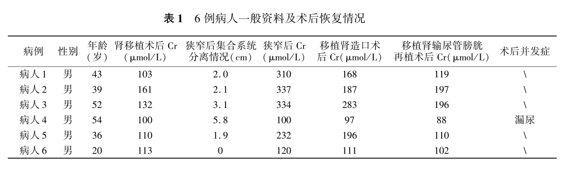 表1 6例病人一般资料及术后恢复情况.png