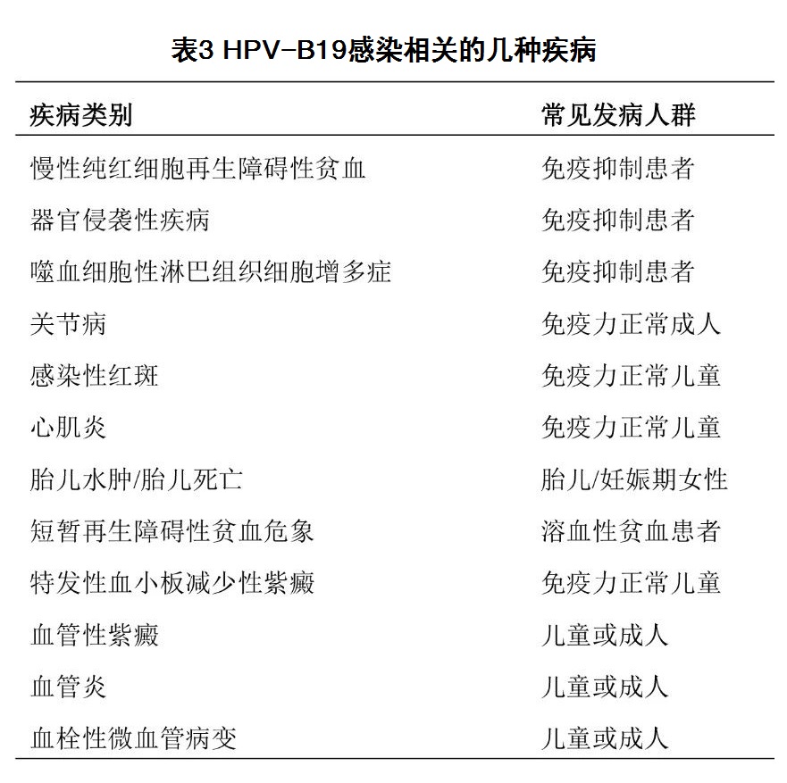 表3 HPV-B19感染相关的几种疾病.jpg