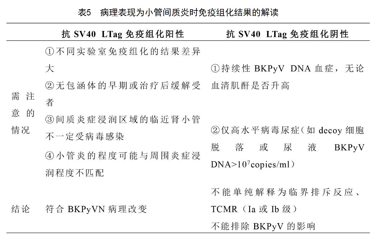 表5 病理表现为小管间质炎时免疫组化结果的解读.jpg