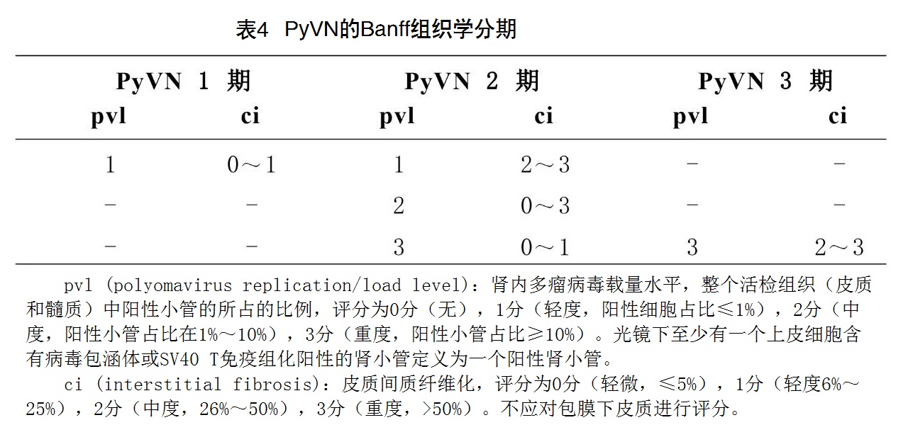 表4 PyVN的Banff组织学分期.jpg