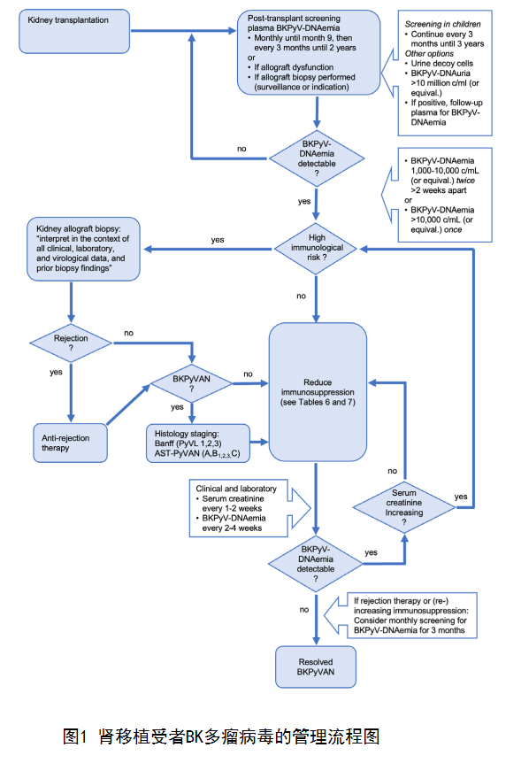 图1 肾移植受者BK多瘤病毒的管理流程图.png