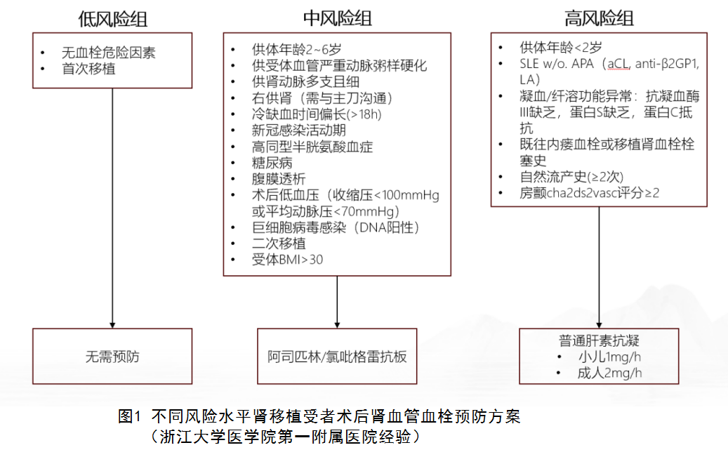 图1 不同风险水平肾移植受者术后肾血管血栓预防方案.png