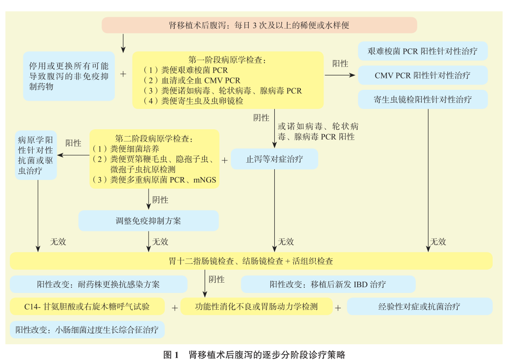 图1 肾移植术后腹泻的逐步分阶段诊疗策略.png