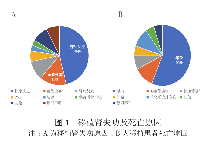 图1 移植肾失功及死亡原因.png